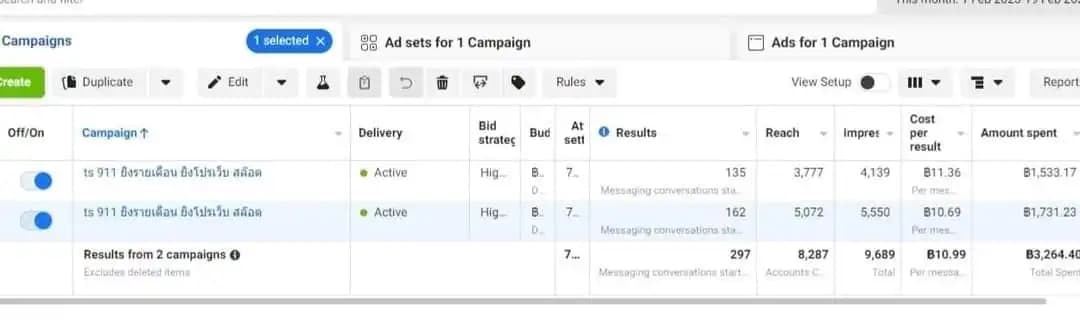 ตัวอย่างแคมเปญ Google Ads 1