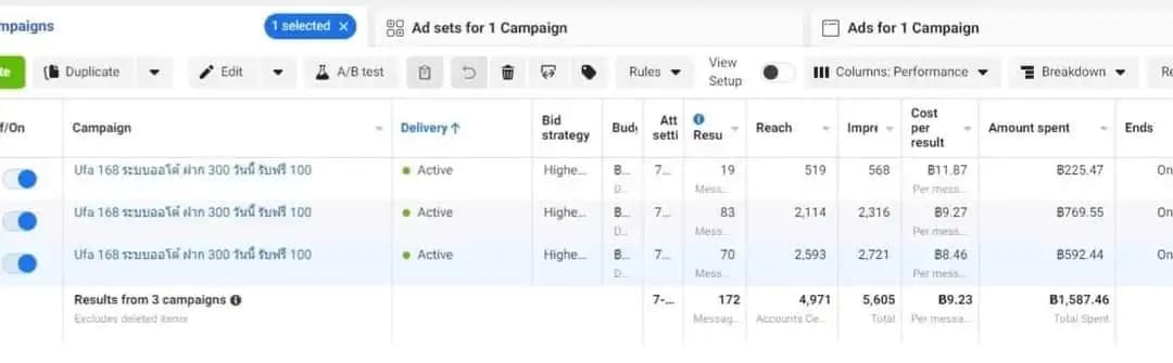ตัวอย่างแคมเปญ Google Ads 3